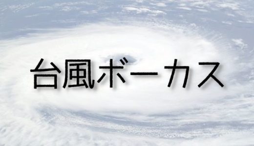 台風ボーカス